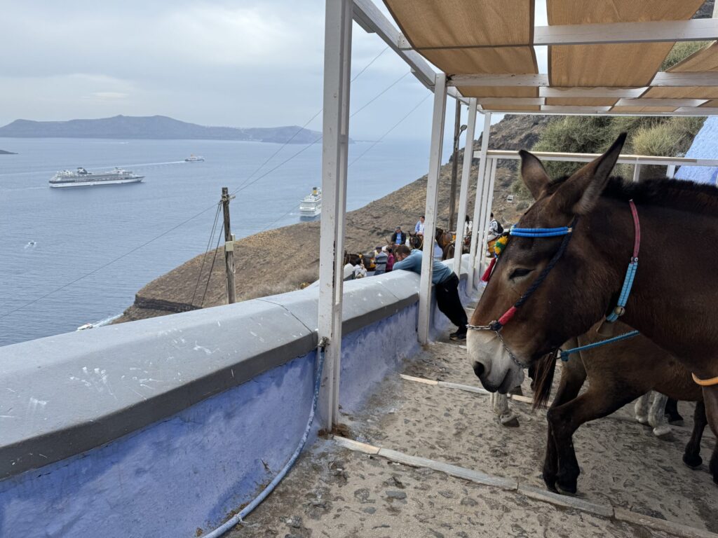 Line of donkeys waiting beneath a shaded arbor at the top of the Karavolades Stairs in Santorini, with a blue waist-high wall and rounded white handrail in front; beyond, a steep tan slope drops away to a distant view of the sea, where a cruise ship and volcanic islets appear tiny on the horizon