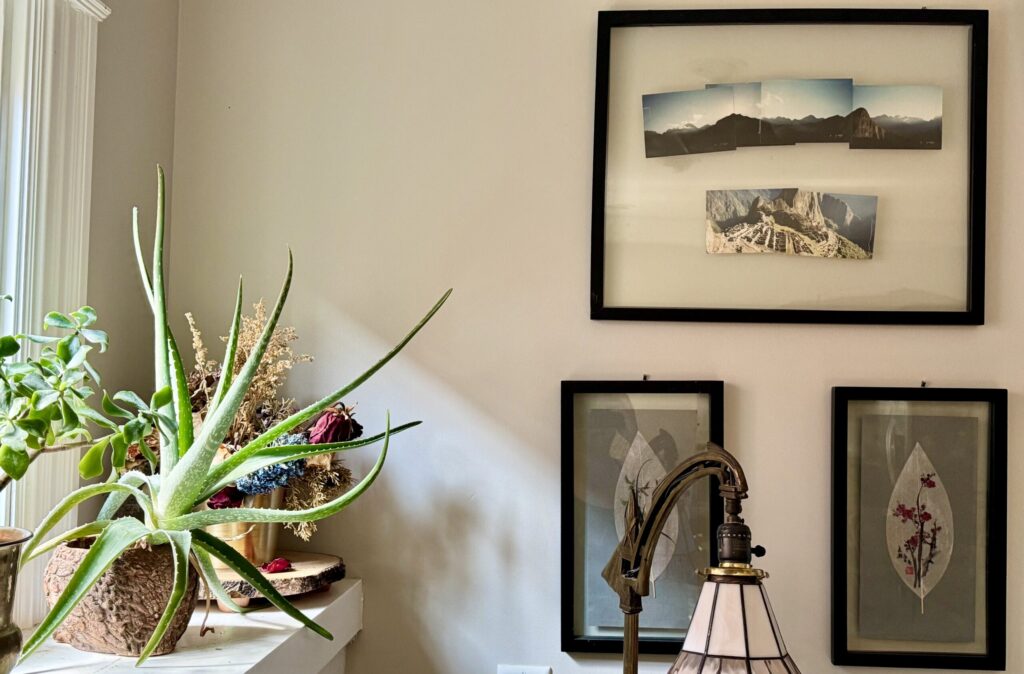 Framed travel photos on a wall in Ginny’s home—images from a 1997 trip to Machu Picchu, surrounded by houseplants and soft morning light.