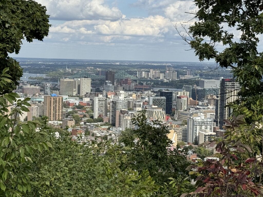 The view of Montreal, framed by greenery, from Mount Royal Park in Montreal.