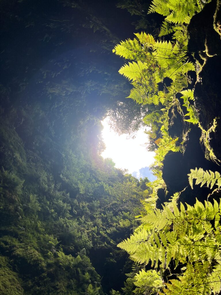 Looking up through the intact chimney of Algar do Carvão on Terceira Island in the Azores.