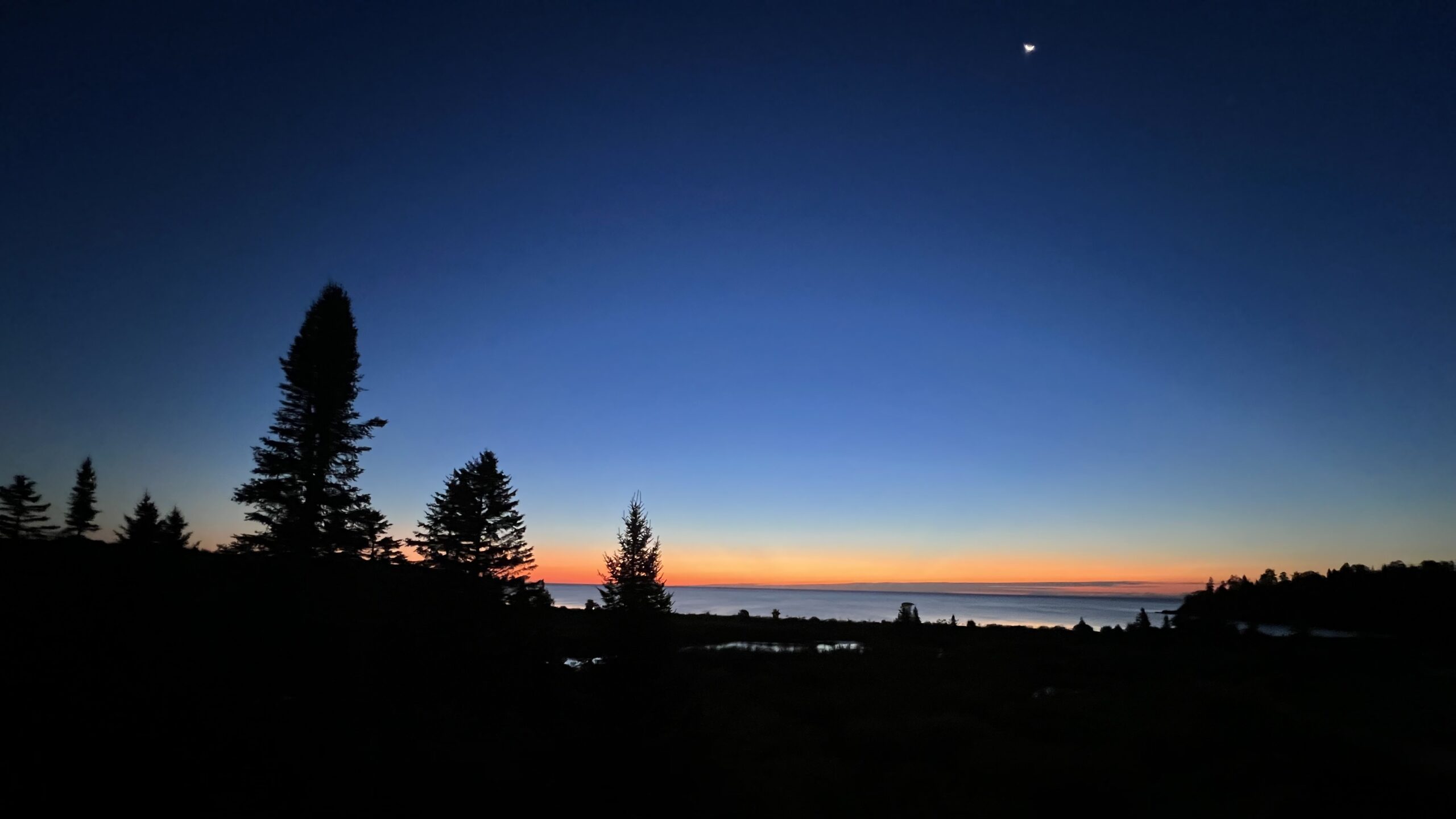 How to Survive the Holidays — Keeping  Your Sanity and Sobriety Intact