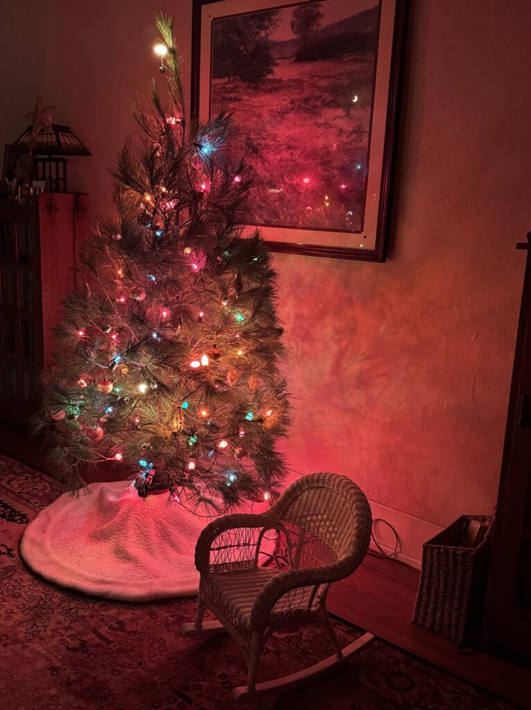 A Christmas tree lit up in a darkened room.