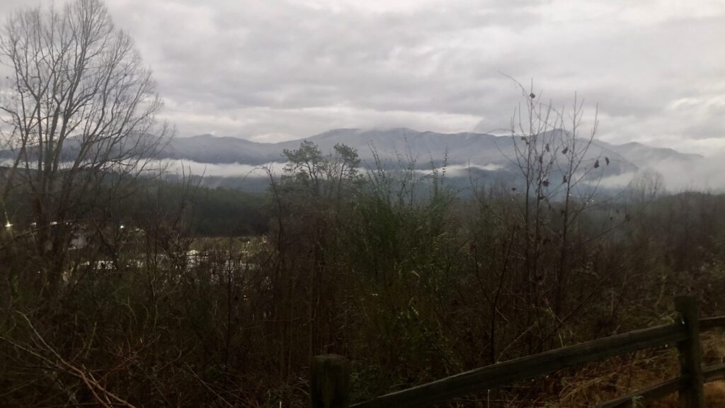 Gray winter mountains partially hidden by fog, with bare trees in the foreground.